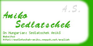 aniko sedlatschek business card