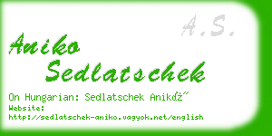 aniko sedlatschek business card